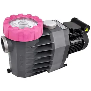 SPECK PUMPEN Pompe piscine Procopi Eurostar ii - 200 t - Type 1,3 cv - triphasé - 1 kW - 18 m3/hVendu parcarrefour