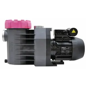 Pompe de filtration Eurostar II - SPECK PUMPEN - 0.65 kW - 9m3/h - Gri...Vendu parcdiscount