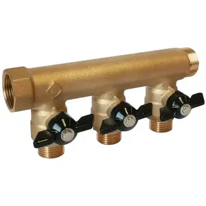 Somatherm - Collecteur sanitaire m-f 1+mini-vannes monobloc 3 départs ...Vendu parscrewfix