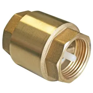 Somatherm Clapet anti-retour Pronorm 1"Vendu parchampion-direct