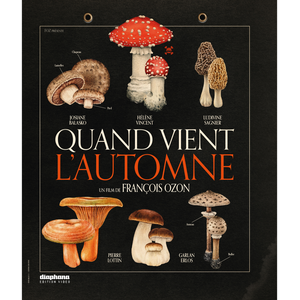 Comparateur de prix : DIAPHANA Quand vient l’automne Blu-ray