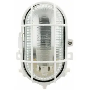 HUBLOT - Ovale - 60 W à vis - IP44 - CLASS2 pas cher