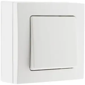 Comparateur de prix : ZENITECH Va & Vient 10A saillie borne auto Bel'Vue - Blanc