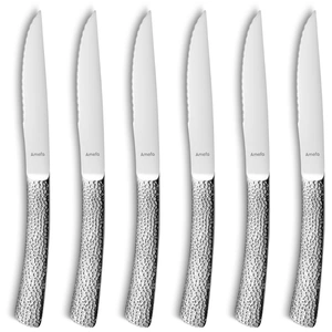 Comparateur de prix : Amefa Steak Bongo XL - Coffret 6 couteaux steaks
