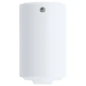 Chauffe-eau électrique blindé vertical mural 50L - THERMOR - 241040 pas cher