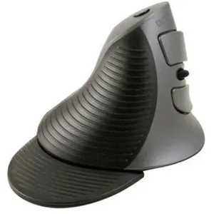 Delux Dacomex Souris sans Fil Verticale Ergo Grip Verticale V2000W pour droitier pas cher