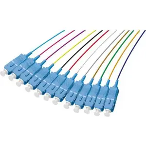 Inconnu Exertis Connect - pigtail OS2 sc/upc lsoh 12 connecteurs- 2m (392255) pas cher