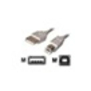 Amazon Dexlan Cordon USB 2.0 type AB M/M 0,6 m pas cher