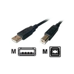 Dexlan - Câble USB - USB (M) pour USB type B (M) - USB 2.0 - 3 m - noir pas cher