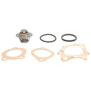 Thermostat d'eau COLORSTAT BY VERNET TH1290.85J