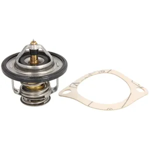 Thermostat d'eau COLORSTAT BY VERNET TH7185.80 pas cher