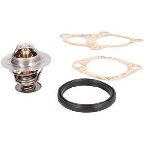 Comparateur de prix : COLORSTAT VERNET S.A.S. Thermostat d'eau pour HYUNDAI: H1 & KIA: K2500 (Ref: TH6294.88J)