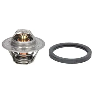 Thermostat d'eau CALORSTAT BY VERNET TH7239.90J pas cher