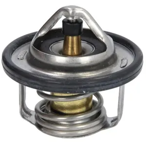 Thermostat d'eau CALORSTAT BY VERNET TH6737.88J pas cher