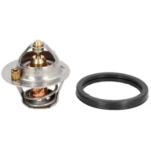 Thermostat d'eau CALORSTAT BY VERNET TH6837.82J pas cher
