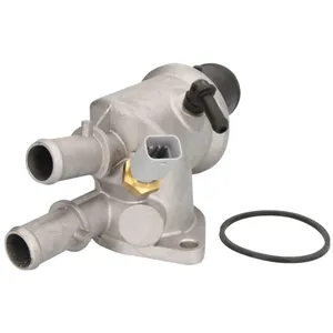 Calorstat TH6551.88J Thermostat d'eau pas cher
