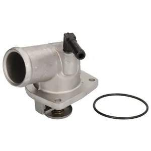 Thermostat d'eau CALORSTAT BY VERNET TH6519.92J pas cher