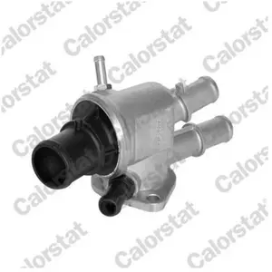 Calorstat TH6489.88J Thermostat d'eau pas cher