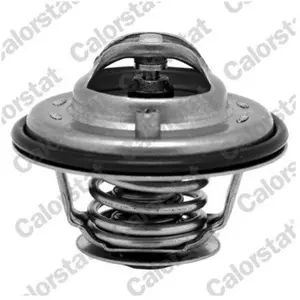 Calorstat Thermostat d'eau TH6533.92J pas cher