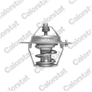 Calorstat by vernet Thermostat d'eau TH6510.88J pas cher