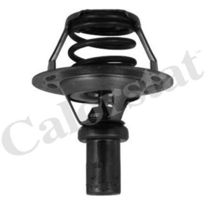 Calorstat by vernet Thermostat d'eau TH5284.86J pas cher