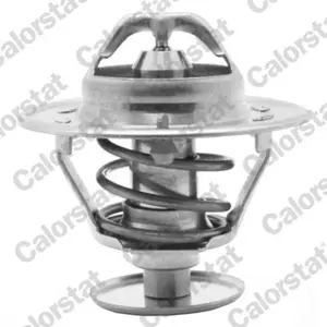 Calorstat TH1419.75J Thermostat d'eau pas cher