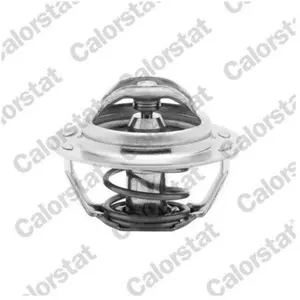 Comparateur de prix : Calorstat TH4885.83J Thermostat d'eau