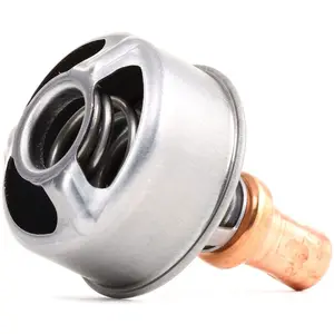 Comparateur de prix : Calorstat TH4495.86 Thermostat d'eau