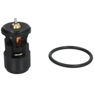 Calorstat Thermostat d'eau COLORSTAT BY VERNET TH6274.80J pas cher