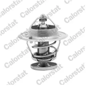 Thermostat d'eau CALORSTAT BY VERNET TH6267.88J pas cher