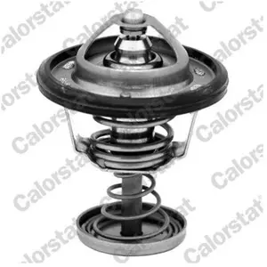 Comparateur de prix : COLORSTAT Thermostat d'eau CALORSTAT TH6950.82J - Réf. TH6950.82J