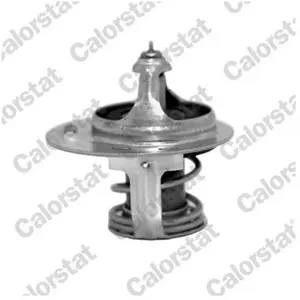 Calorstat TH7050.82J Thermostat d'eau pas cher