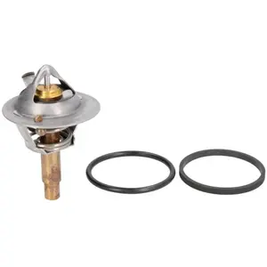 Thermostat d'eau CALORSTAT BY VERNET TH6962.90J pas cher