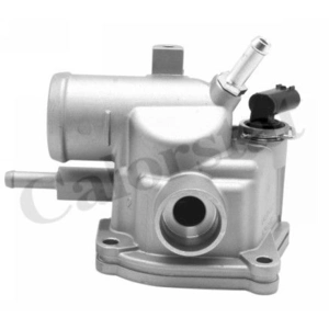 Thermostat d'eau CALORSTAT BY VERNET TH6884.87J pas cher