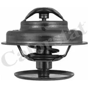 Calorstat By Vernet Thermostat, liqiuide de refroidissement TH1183.79J pas cher