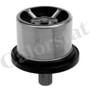 Comparateur de prix : VERNET S.A.S. Thermostat d'eau pour PORSCHE: Carrera GT (Ref: THS16957.82)