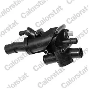 Comparateur de prix : Calorstat by vernet Thermostat d'eau TH7079.83J