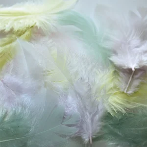 Comparateur de prix : Graine Creative Plume de coq Pastel 7 cm x 20 pcs