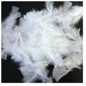 Graine Creative Plumes blanches (environ 1500 plumes)