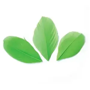 Comparateur de prix : Graines Creatives 50 plumes coupées - Vert 6 cm