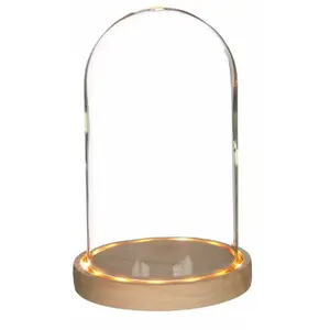 Comparateur de prix : GRAINE CREATIVE ON A TOUS DU TALENT Cloche en verre lumineuse 21,5 cm x Ø 14 cm