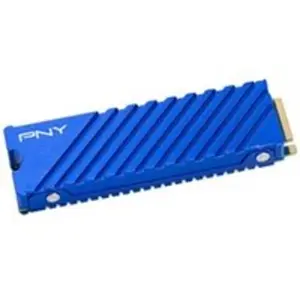 Pny CS2341 1 To Bleu pour PC et PS5 pas cher