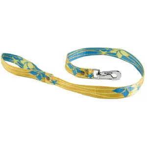 Comparateur de prix : Laisse pour chien Martin Sellier M Bleu 25 mm 3006812