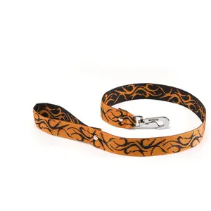 Comparateur de prix : Laisse pour chien Martin Sellier Orange 1 m x 40 mm 3006820