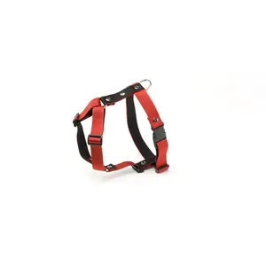 Harnais pour chien Martin Sellier M Rouge 25 mm 3007149 pas cher