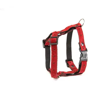 Harnais pour chien Martin Sellier S Rouge 15 mm 3009154 pas cher