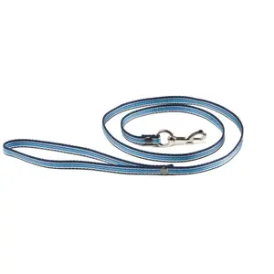 Laisse pour chien nylon Martin Sellier Bleu TU 3009526 pas cher