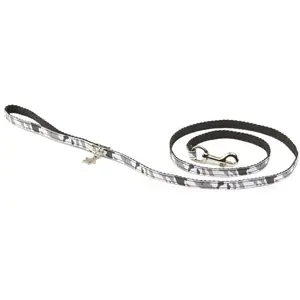 Laisse pour chien Martin Sellier XS Gris 10 mm 3008759 pas cher