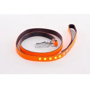 Laisse pour chien fluo Martin Sellier Orange 10/100 cm 3008755 pas cher