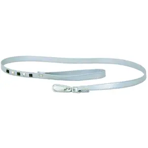 Comparateur de prix : Laisse pour chien Martin Sellier Simili Pearl Gris S 3009520